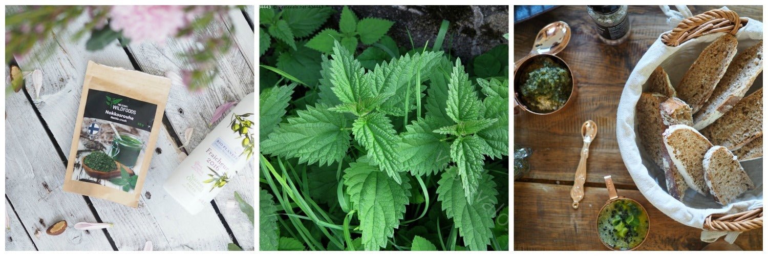 Top 10 kauneusruoat: Nro 1 Nokkonen