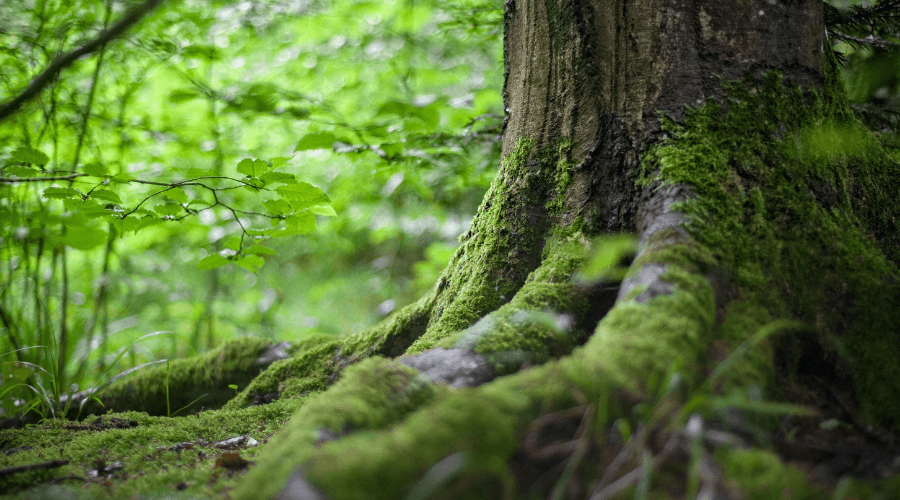 Tehdään Black Fridayna hyvää!
