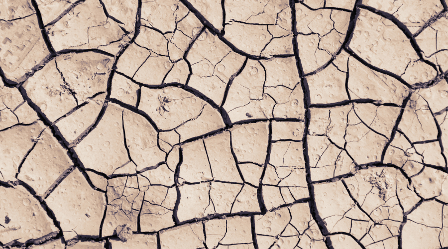 Eroon ihon hilseilystä ilman kalliita voiteita ja vaikeita ihonhoitokikkoja