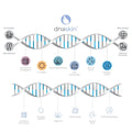 DNA Skin geenitesti