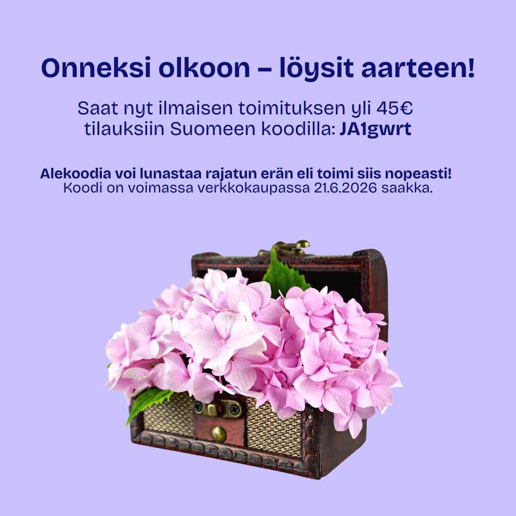 Juhannuksen aarteenmetsästys 1