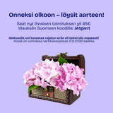 Juhannuksen aarteenmetsästys 1