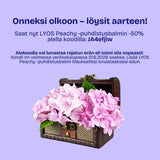 Juhannuksen aarteenmetsästys 4